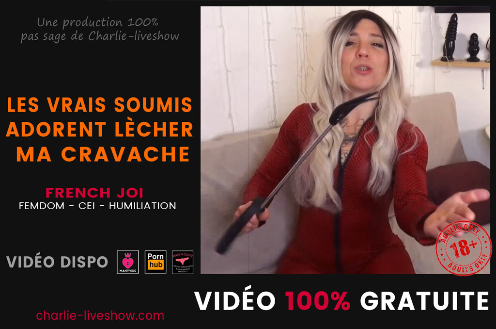 You are currently viewing Les vrais soumis adorent lécher ma cravache – JOI & FemDom