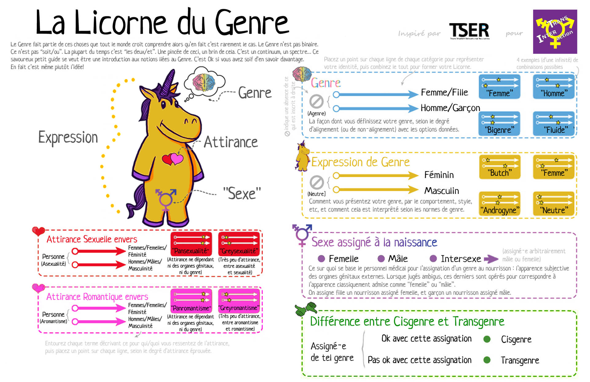 orientation-sexuelle-identite-genre-intimite