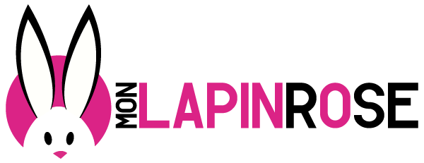 mon-lapin-rose-sexshop-love-shop