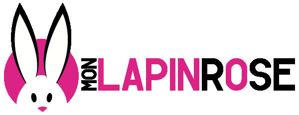 mon-lapin-rose-sexshop