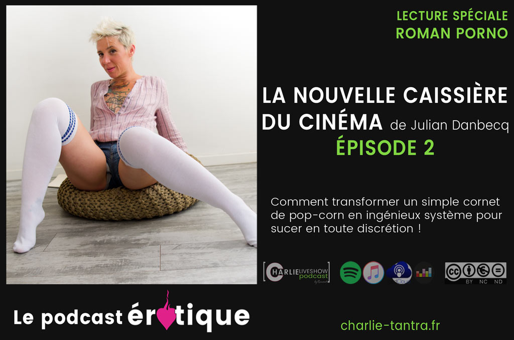 You are currently viewing La nouvelle caissière du cinéma un excellent roman porno