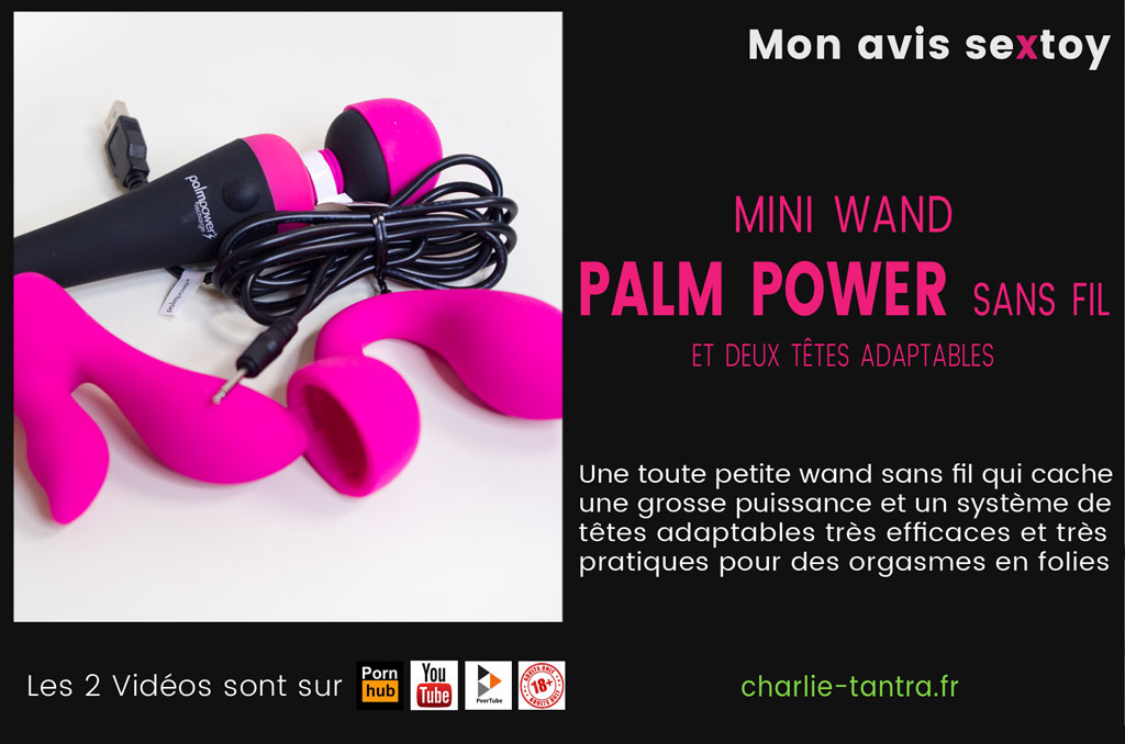 You are currently viewing PALM POWER, la magic wand multi tête pour vos maxi orgasmes