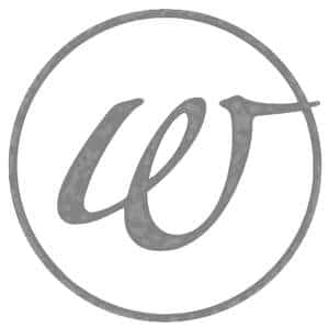 logo-sextoy-womanizer